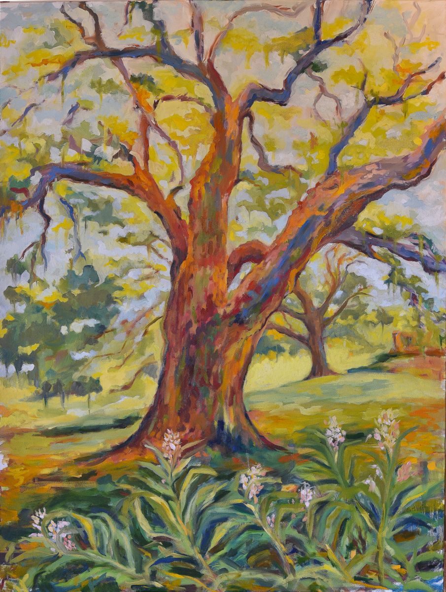 tree ginger.jpg